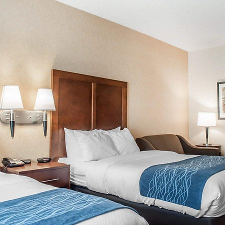 Comfort Inn & Suites Hamburg Eksteriør billede